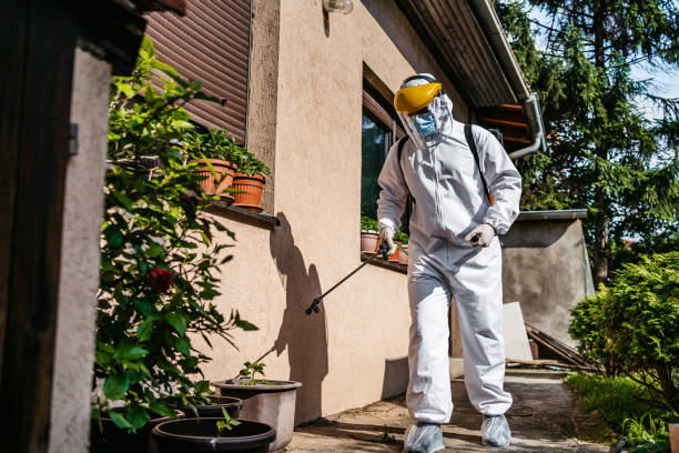 Best Local Pest Control Services  in Port Vue, PA