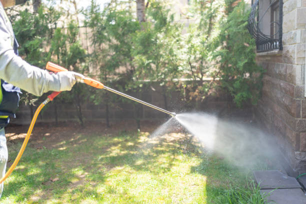 Professional Pest Control in Port Vue, PA