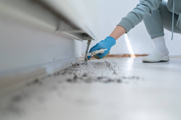 Professional Pest Control in Port Vue, PA