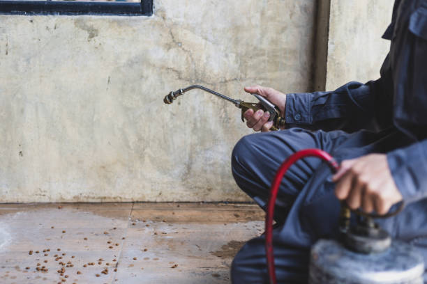 Best Affordable Pest Control Services  in Port Vue, PA